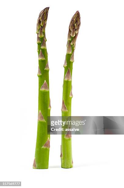two green asparagus full length image - asperge stockfoto's en -beelden