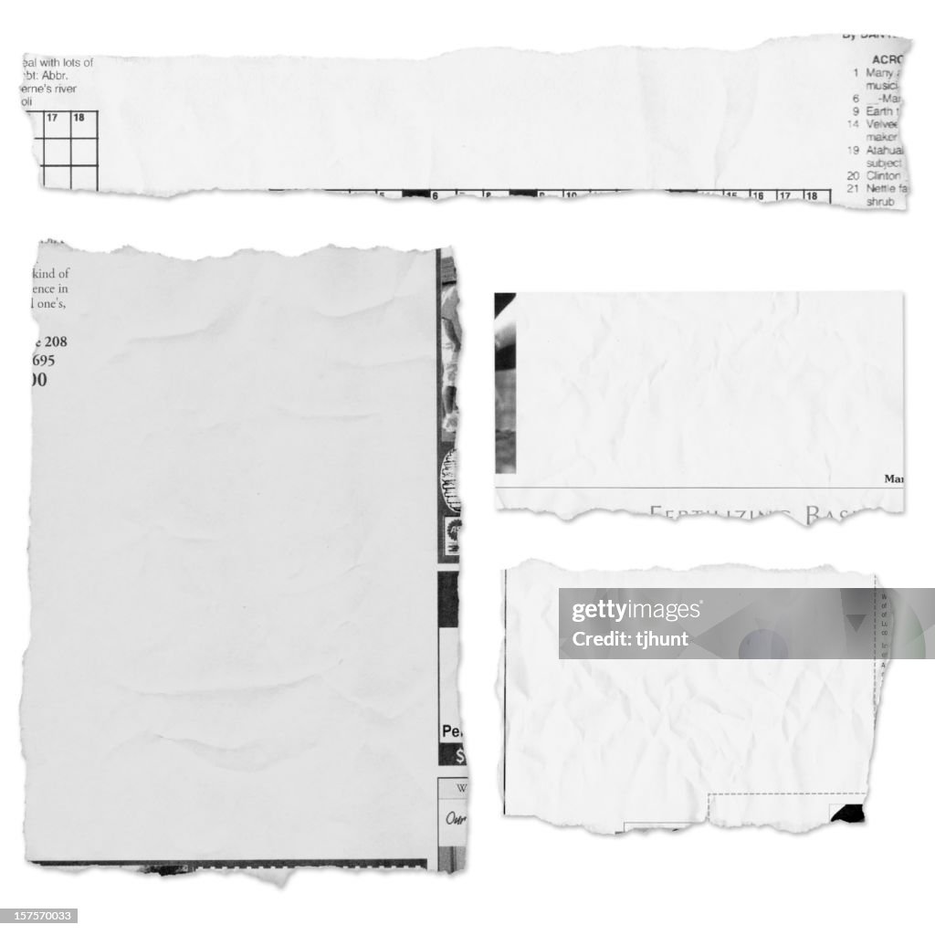 Four pieces of a torn newspaper page on white background