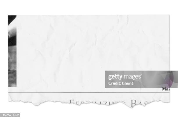 populated newspaper tear isolated on white - newspaper tear stock pictures, royalty-free photos & images