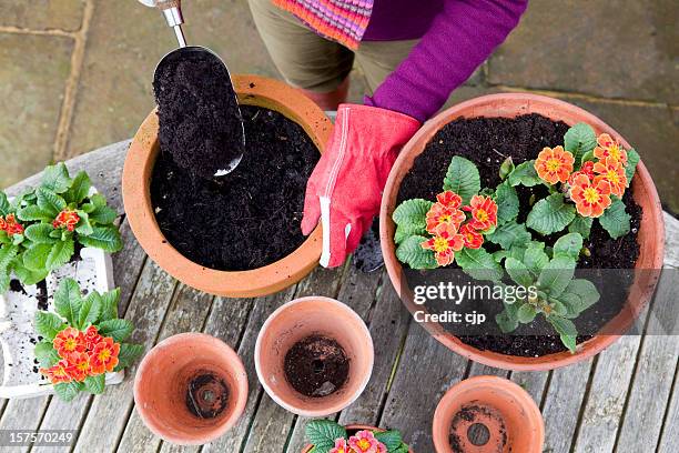 planting spring flowers in terracotta pots - garden from above stockfoto's en -beelden