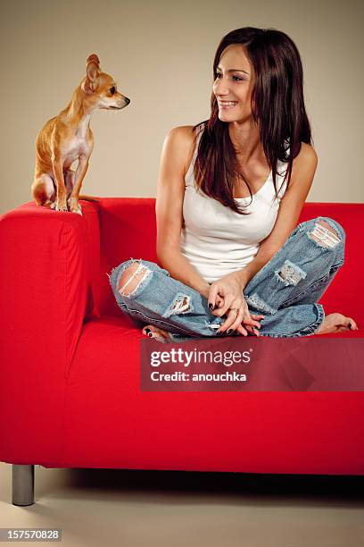 hübsche junge frau auf der couch mit ihrem schönen chihuahua - long haired chihuahua stock-fotos und bilder