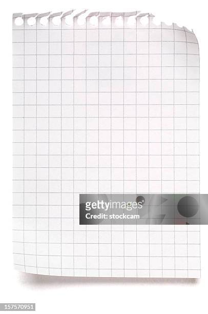 blank sheet of maths paper on white - checked bildbanksfoton och bilder