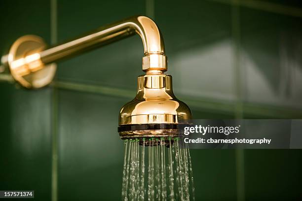 bathroom shower head and running water - luxury bathroom stock pictures, royalty-free photos & images