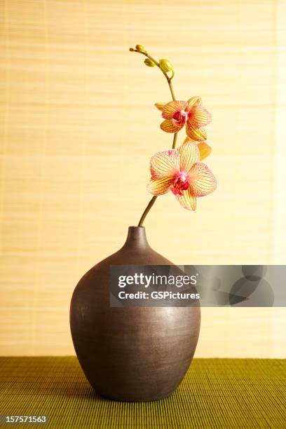 spa still life of orchid flower in vase - bud vase stock pictures, royalty-free photos & images