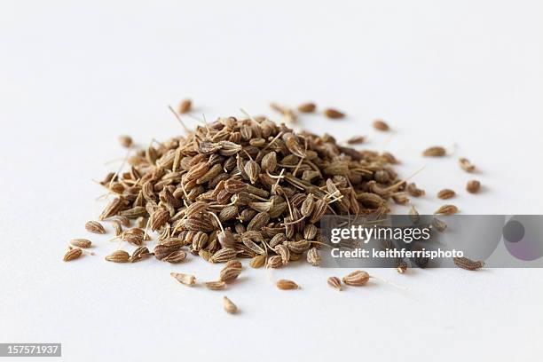 pile of anise seeds on white surface - seed stock pictures, royalty-free photos & images