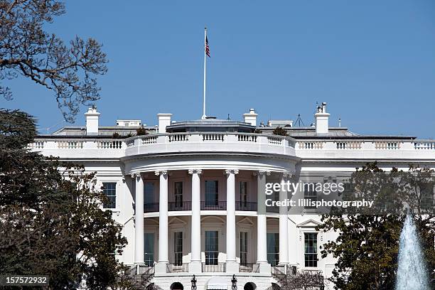 casa branca em washington dc - casa branca washington dc imagens e fotografias de stock