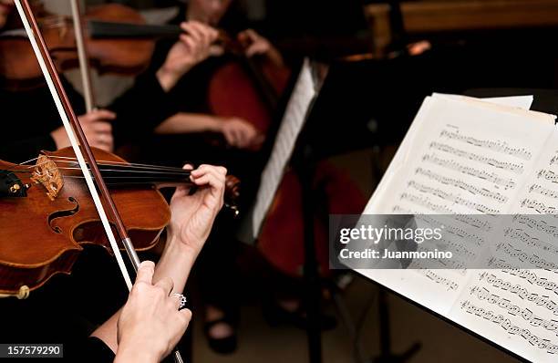 weibliche violinists - orchester stock-fotos und bilder