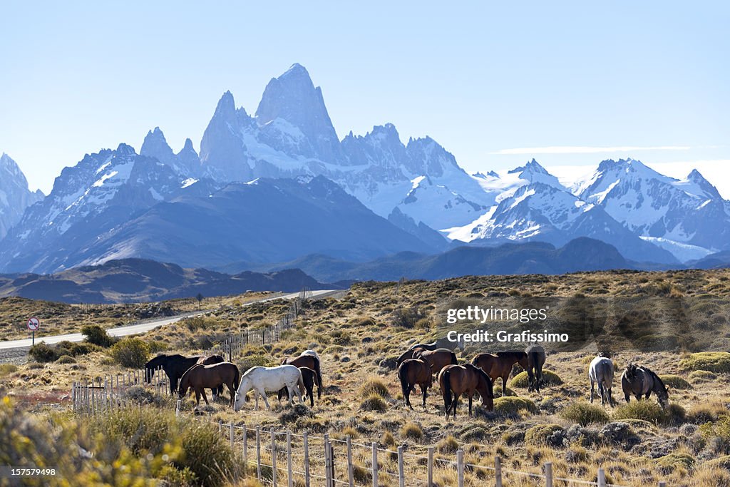 Argentina Patagonia Mount Fitz Roy with horses