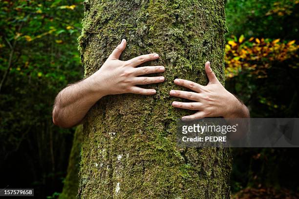 two hands embracing a tree trunk - hands embracing stock pictures, royalty-free photos & images
