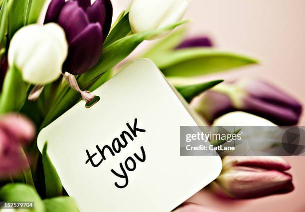 tulips with thank you card - thank you korte frase stockfoto's en -beelden