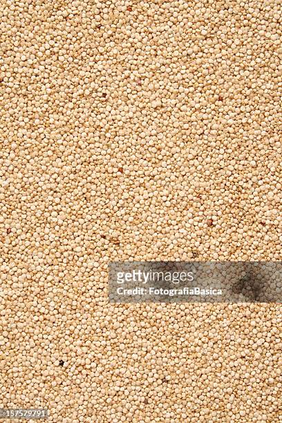 quinoa seeds background - quinoa stock pictures, royalty-free photos & images