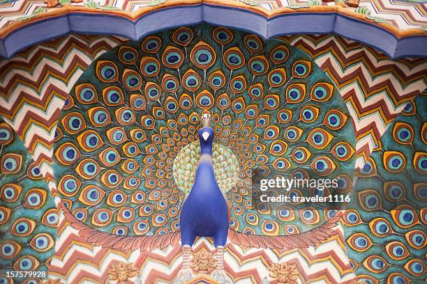 peacock from the jaipur city palace - jaipur city palace stock pictures, royalty-free photos & images