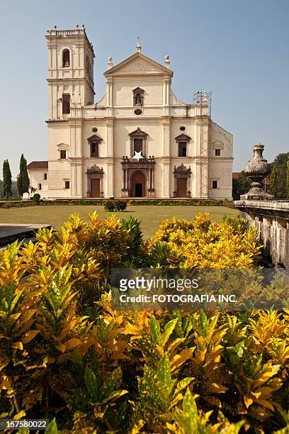 se cathedral in old goa, india - panjim stock pictures, royalty-free photos & images