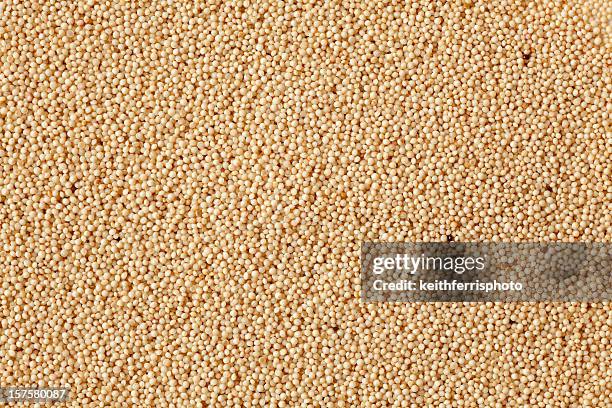 amaranth grain - amaranthus stock pictures, royalty-free photos & images