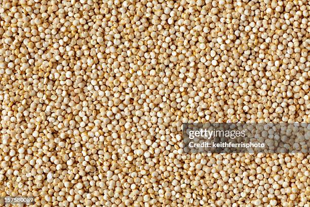 Quinoa Mouse Quinoa On White Photos and Premium High Res Pictures - Getty Images