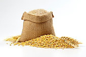 Hessian sack of grain and wheat