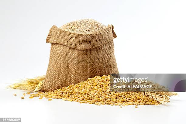hessian sack of grain and wheat - crop stock pictures, royalty-free photos & images