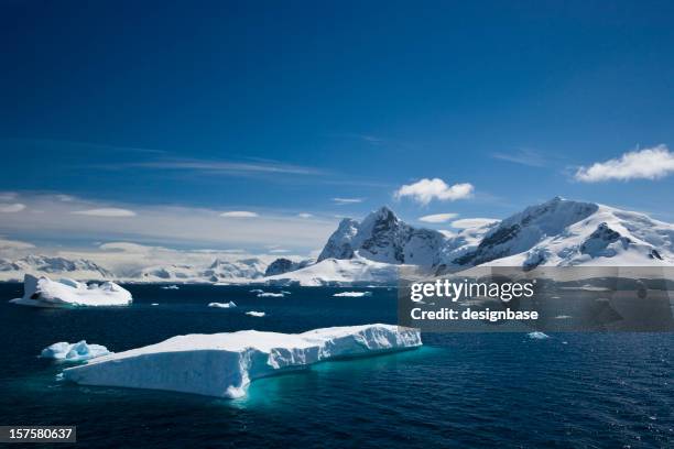 ice and snowy mountains with water in the paradise harbour - antarktiska halvön bildbanksfoton och bilder