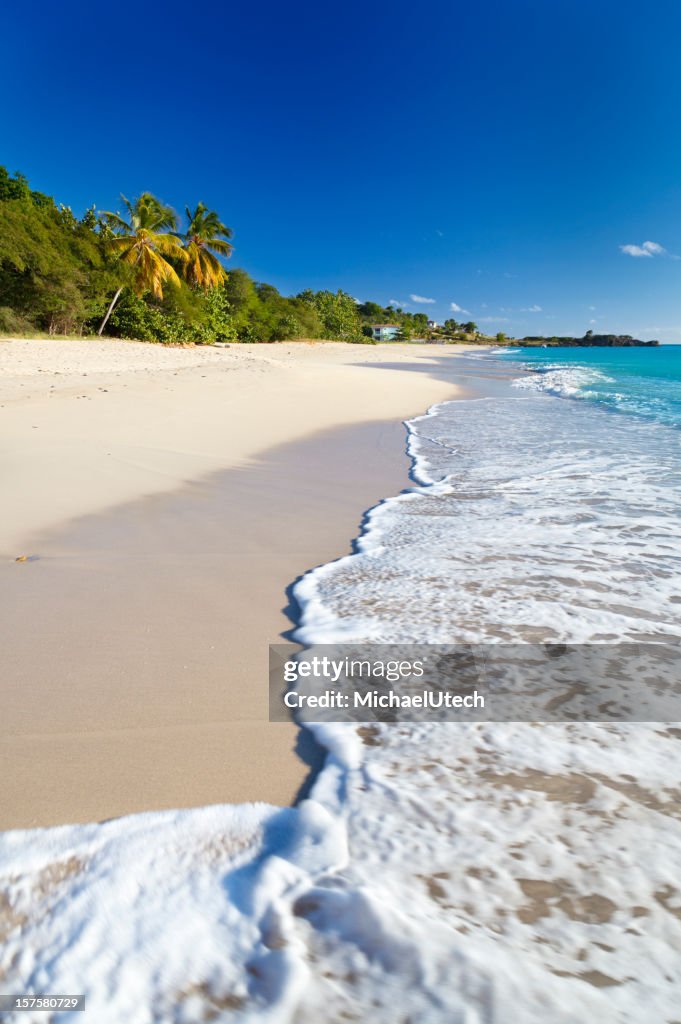 Perfect Caribbean Beach