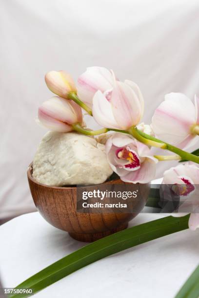 shea butter or karite with orchid - shea butter stock pictures, royalty-free photos & images