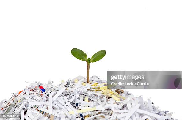 recycle - paper shredder on white stock pictures, royalty-free photos & images