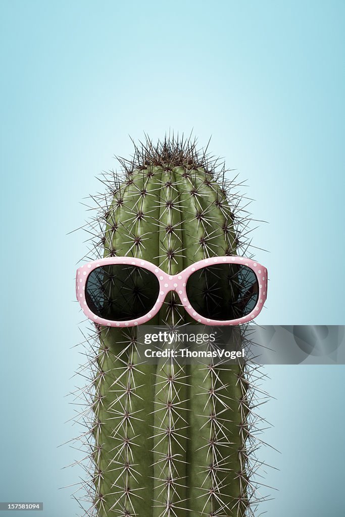 Cactus com óculos de sol em azul-de-rosa