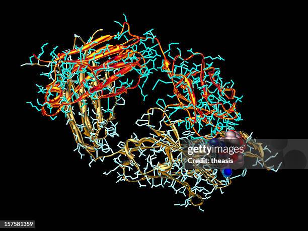 model of hiv antibody - enzyme structure stock pictures, royalty-free photos & images