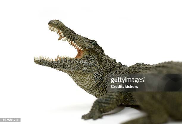 attacking crocodile isolated on white - crocodile stock pictures, royalty-free photos & images
