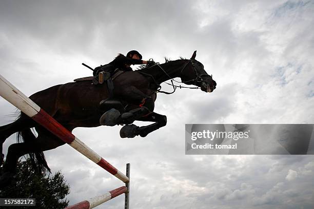 saltos de caballo - concurso de saltos ecuestres fotografías e imágenes de stock