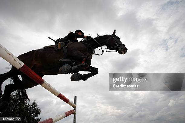 horse jumping - horse jumping stock pictures, royalty-free photos & images