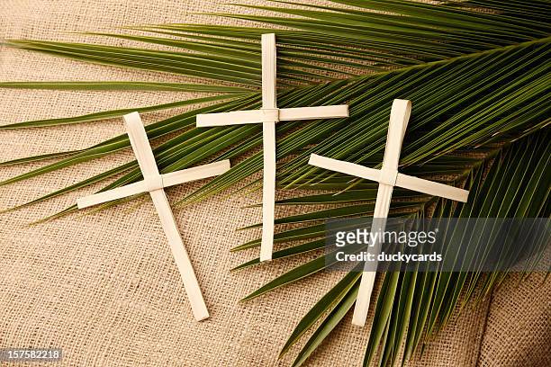 palm sunday crosses and branches - palm sunday stock pictures, royalty-free photos & images