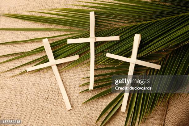 palm sunday crosses and branches - palm sunday stock pictures, royalty-free photos & images