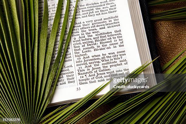 palm sunday matthew 21 triumphal entry of christ - palm sunday stock pictures, royalty-free photos & images