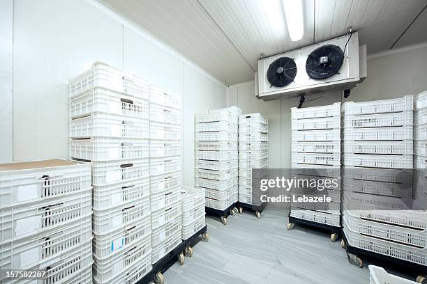 fleisch stauraum bei -30° celsius - storage room stock-fotos und bilder