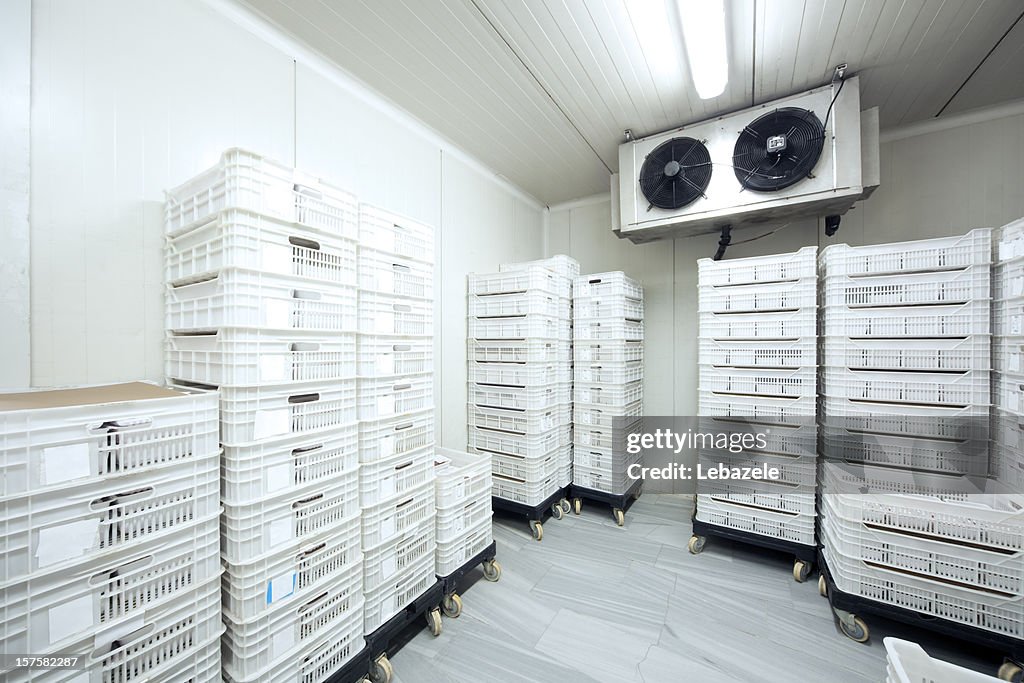 Meat Storage at -30 Celcius