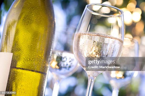 chilled wine - bottle condensation stock pictures, royalty-free photos & images