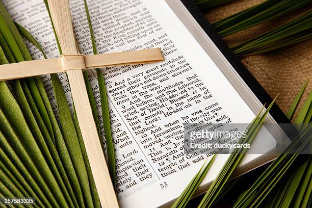 palm sunday kjv bible and palms branches - palm sunday stock pictures, royalty-free photos & images