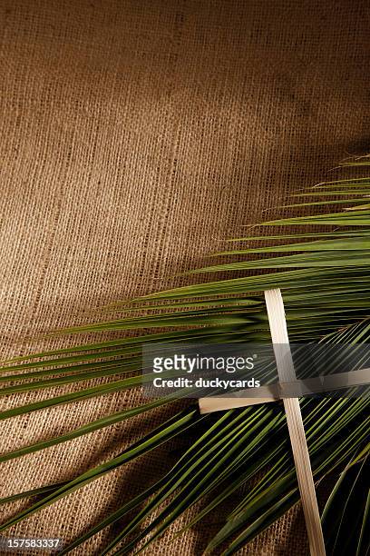 palm sunday cross and branch background - palm sunday stock pictures, royalty-free photos & images