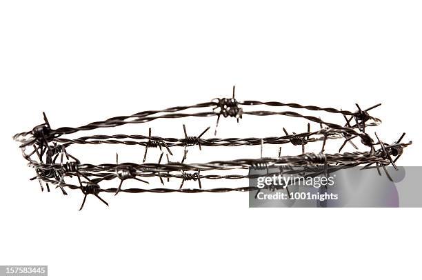 barbed wire - barbed wire fence stock pictures, royalty-free photos & images