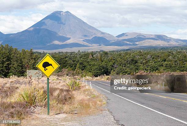 キウイ鳥の道路標識 - kiwi bird in new zealand ストックフォトと画像