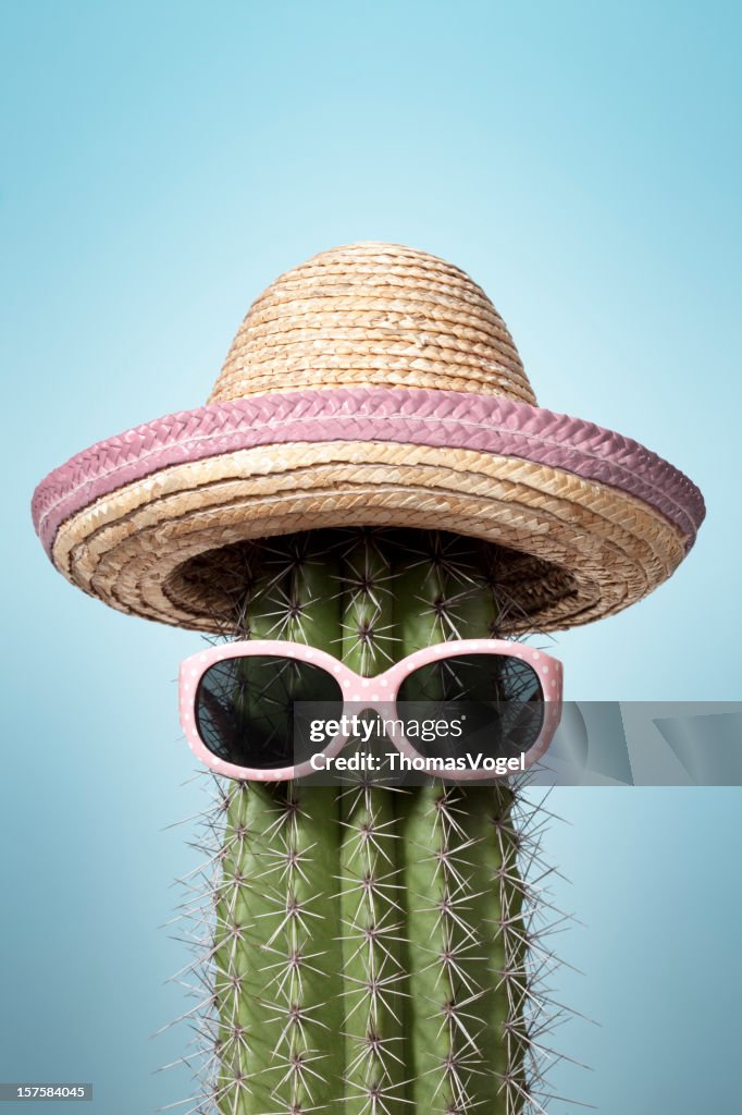 Rosa cactus in Messico. Estate vacanza da sole Sombrero calore Humor