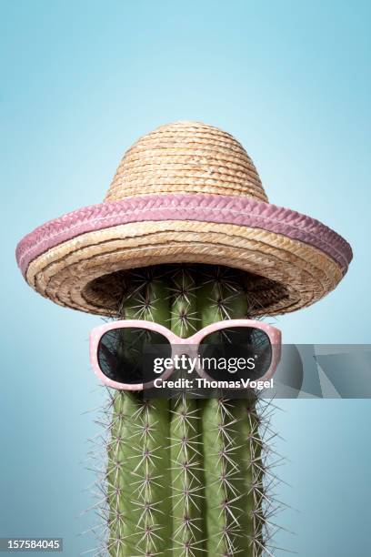 pink mexico cactus. summer humor heat holiday sunglasses sombrero - sombrero hat stock pictures, royalty-free photos & images