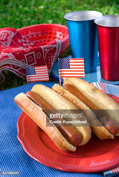 4. juli, memorial day, labor & hot dog picknick-speisen - memorial day dog stock-fotos und bilder