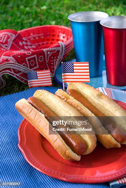 fourth of july, labor & memorial day hot dog picnic food - memorial day dog 個照片及圖片檔