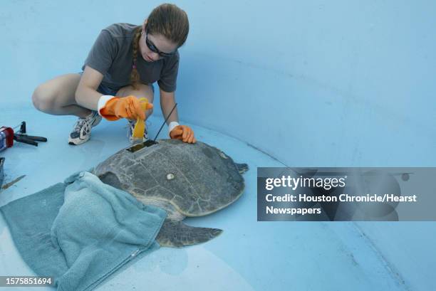 Turtle Lab Empty Galveston National Laboratory Photos and Premium High Res Pictures ...