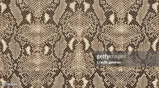 fond de texture de cuir avec motif de peau de python - peau de serpent photos et images de collection