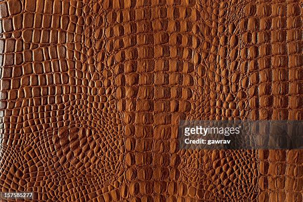 textured background of genuine leather in crocodile skin pattern - mottled skin 個照片及圖片檔