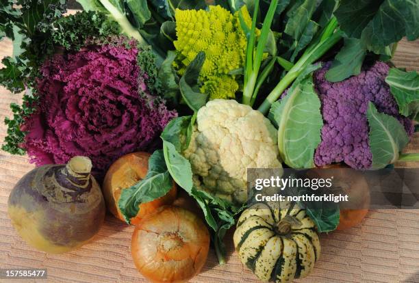 autumn vegetables - turnip stock pictures, royalty-free photos & images