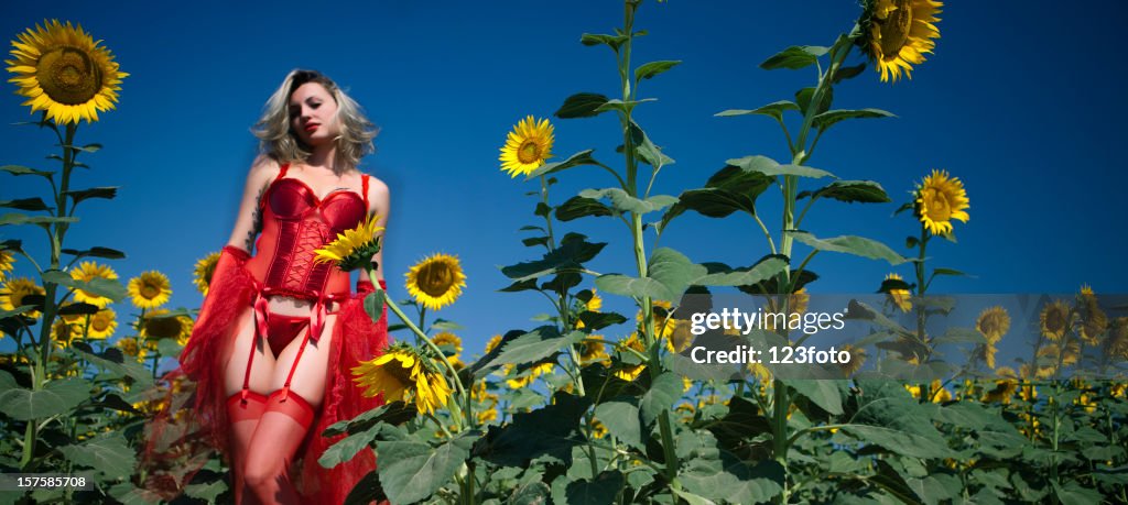 Sunflowers