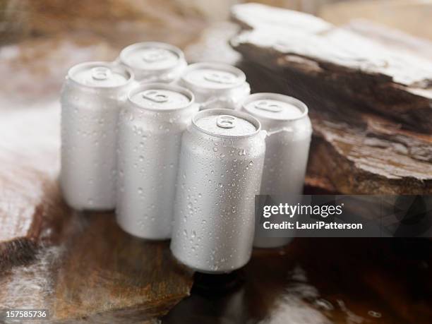 six pack of beer chilling in the river - six pack stockfoto's en -beelden